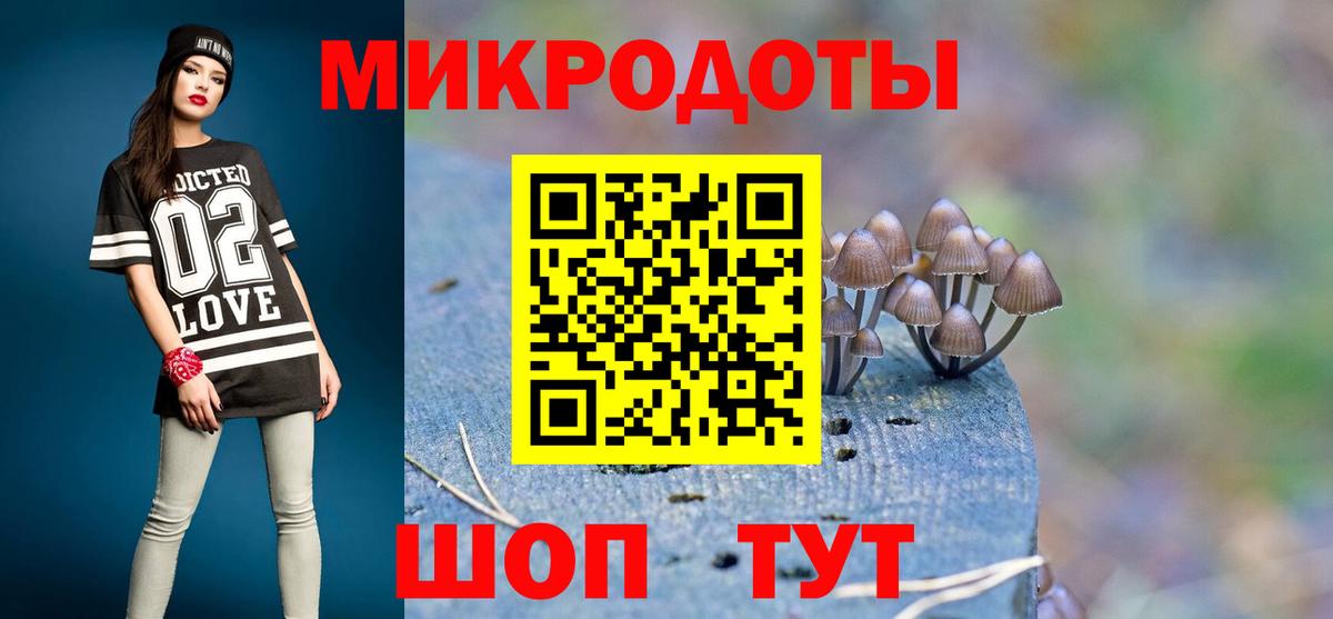 Галлюциногенные грибы Psilocybine cubensis Сергиев Посад